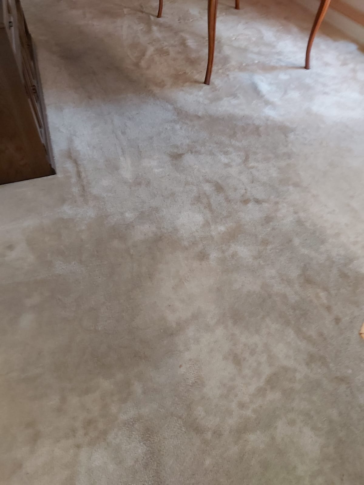 Before cleaning